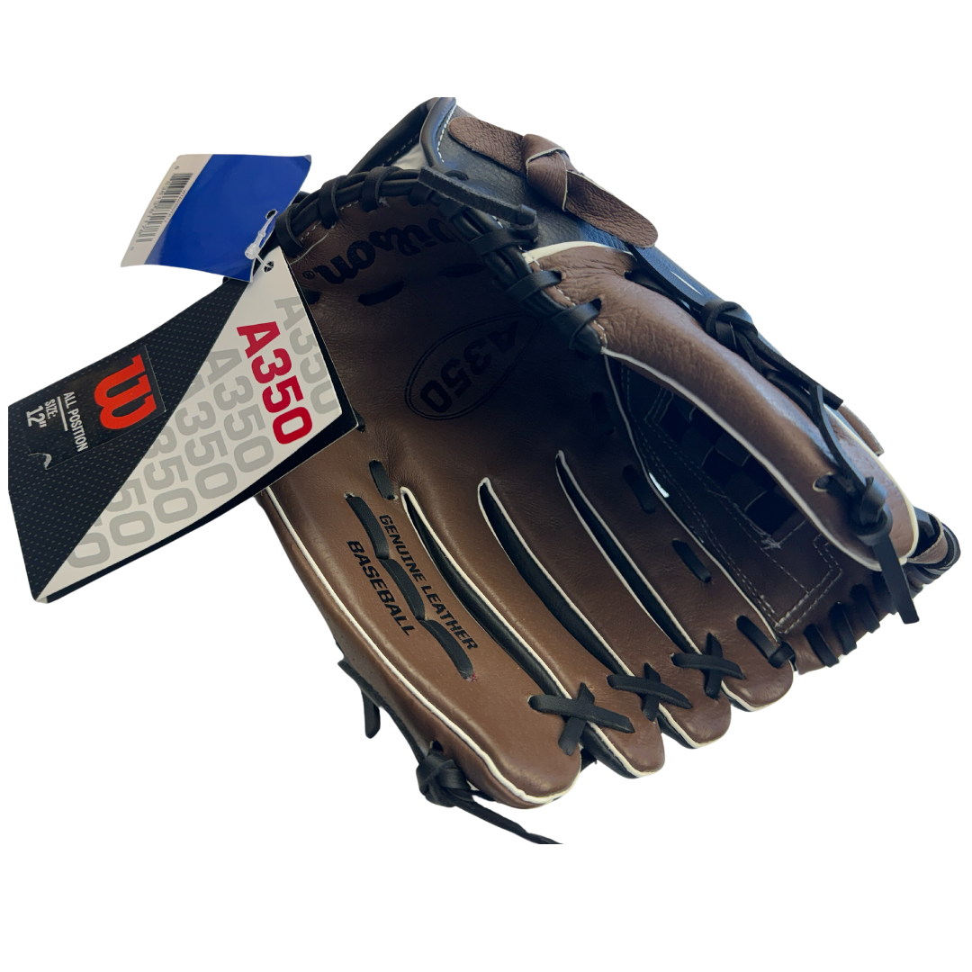 Wilson A350 Series Baseball Glove