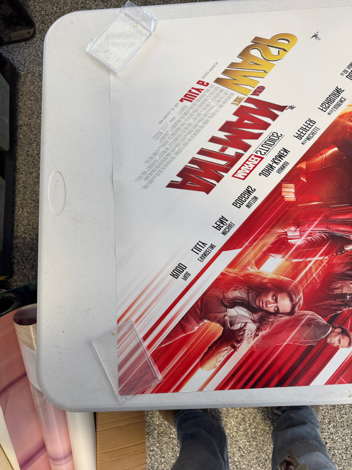 Ant-Man and the Wasp (2018) Original 27x40 Movie Poster D/S Rolled, Paul Rudd
