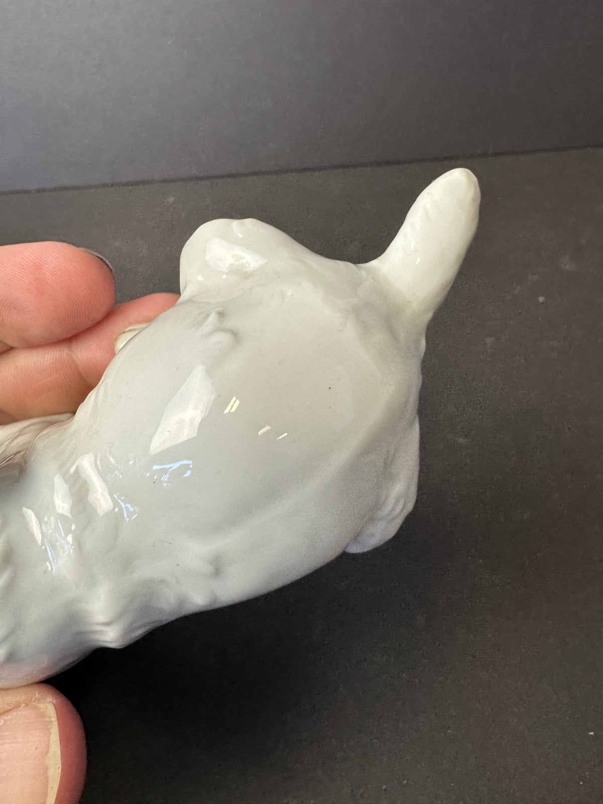 241 - ROSENTHAL Germany Th. Karner; TERRIER PUPPY Porcelain Figurine; #H.1123 RARE