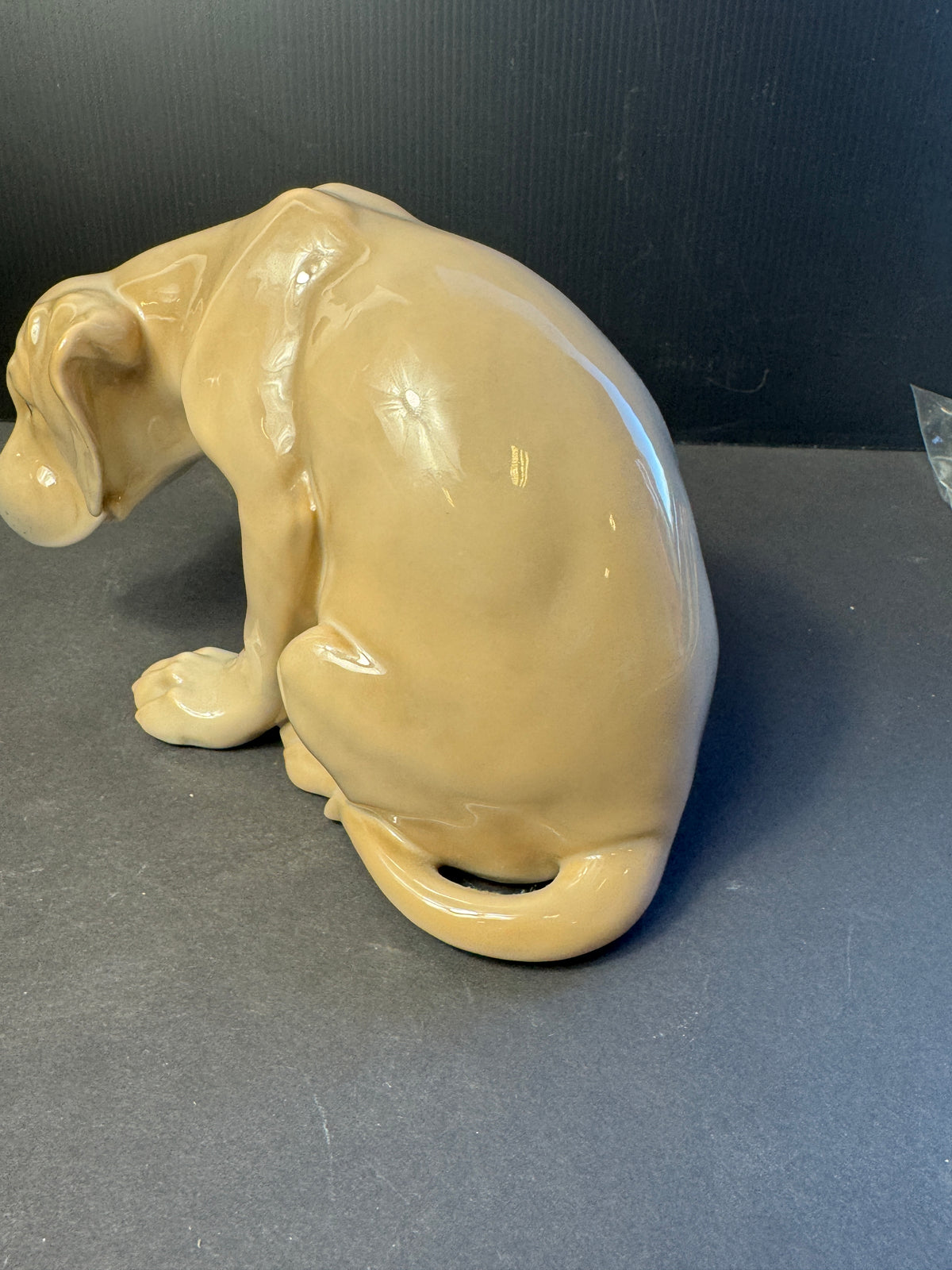 Royal Copenhagen Porcelain Labrador Retriever Puppy Bob 85 318