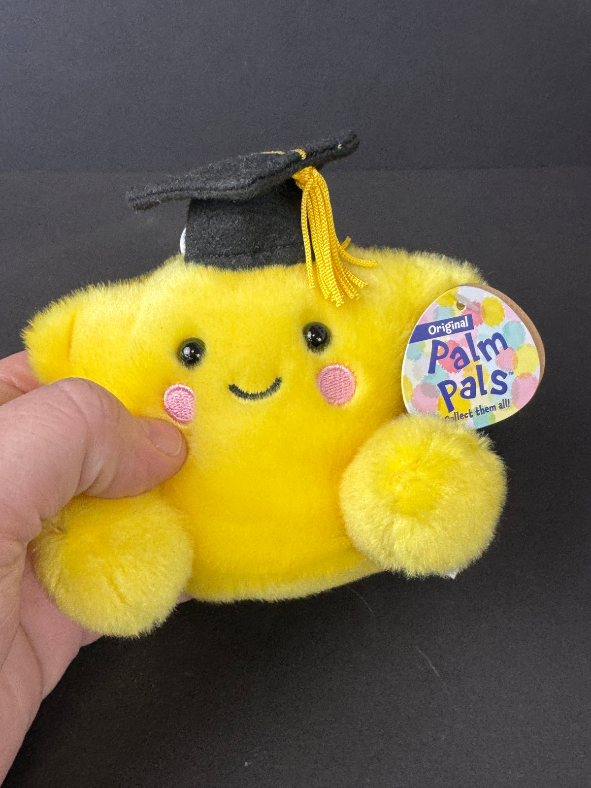 576 - Aurora Palm Pals Magna Grad Star Yellow Plush Graduation Stuffed Animal