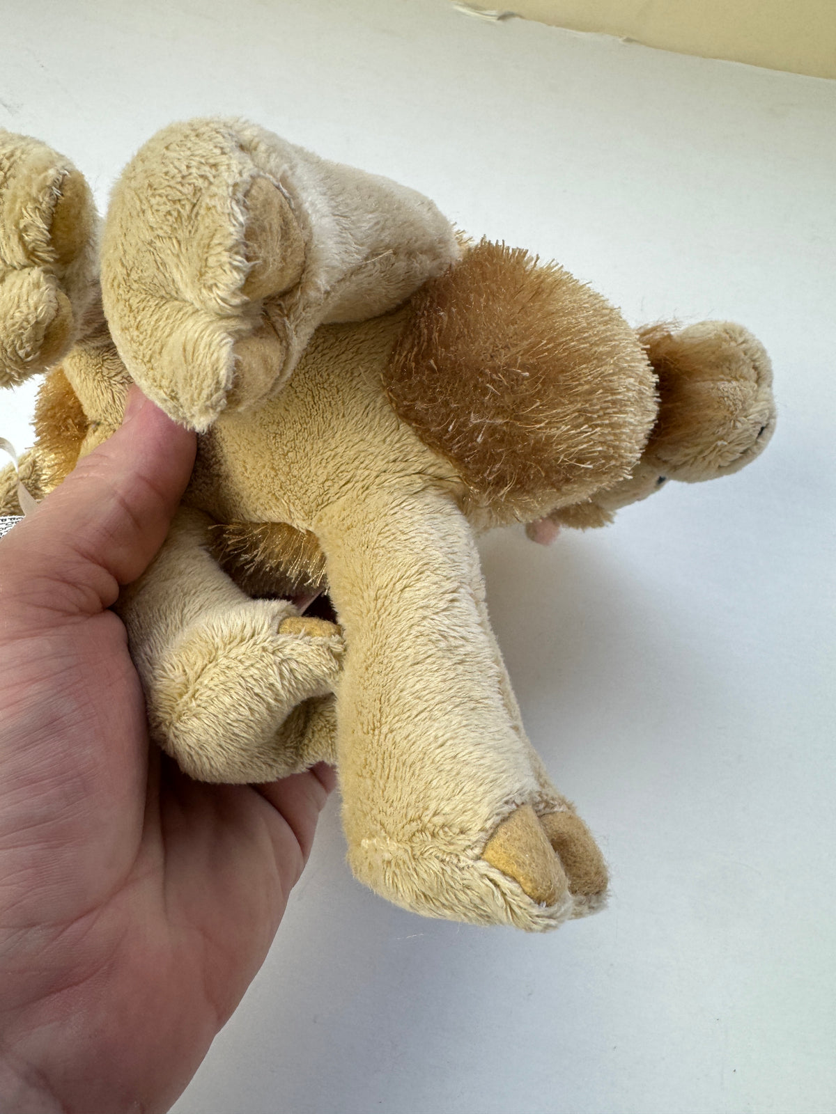 329 - Ganz Webkinz Plush Camel 8" Tan Stuffed Animal HM341 No Code