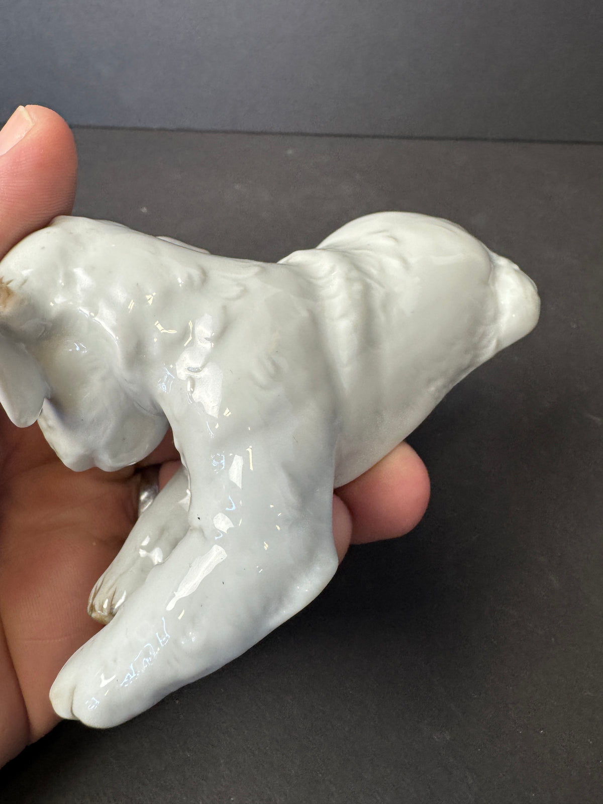 241 - ROSENTHAL Germany Th. Karner; TERRIER PUPPY Porcelain Figurine; #H.1123 RARE