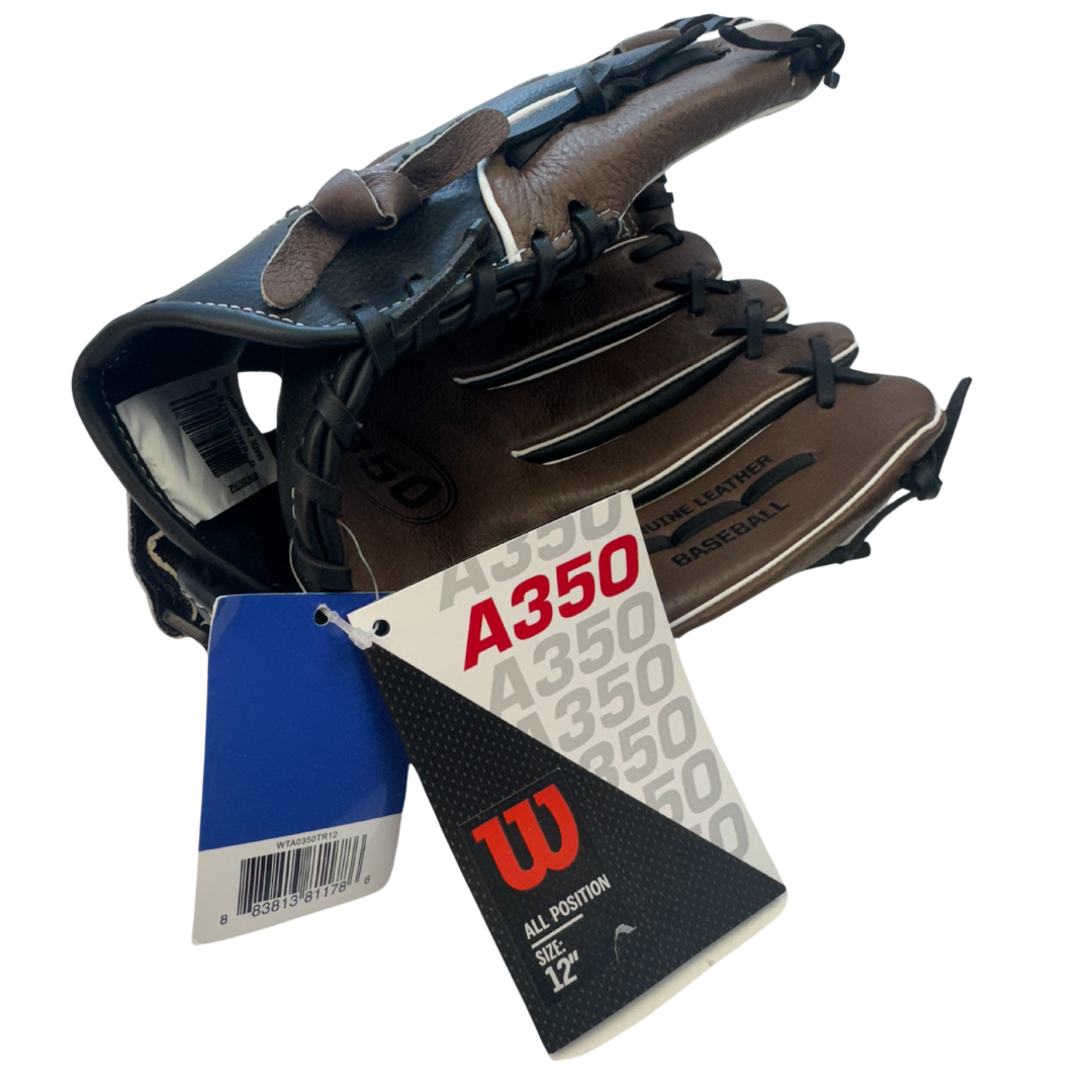 Wilson A350 Series Baseball Glove