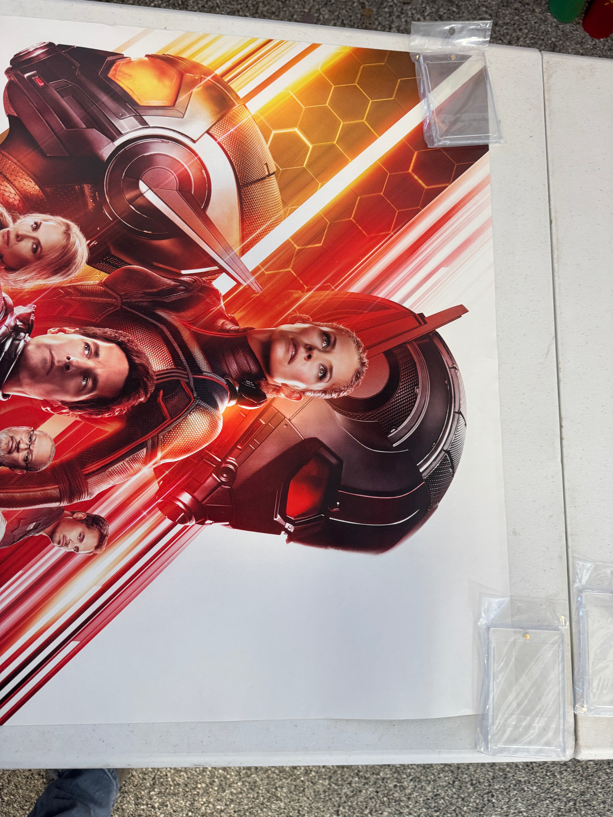 Ant-Man and the Wasp (2018) Original 27x40 Movie Poster D/S Rolled, Paul Rudd