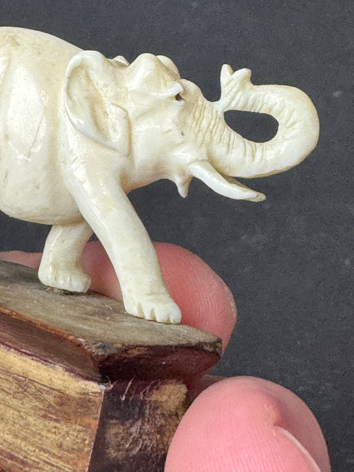 486 - Vintage Hand Carved Bone Elephant Miniature Figurine on Wood Display Base – As Is