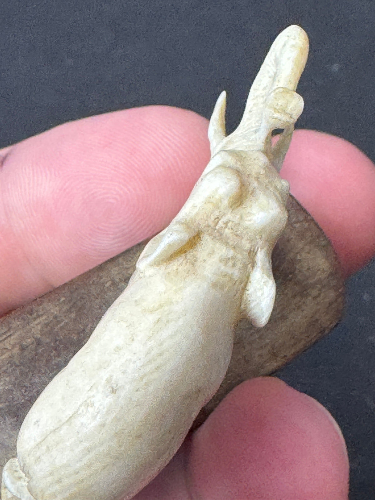 486 - Vintage Hand Carved Bone Elephant Miniature Figurine on Wood Display Base – As Is