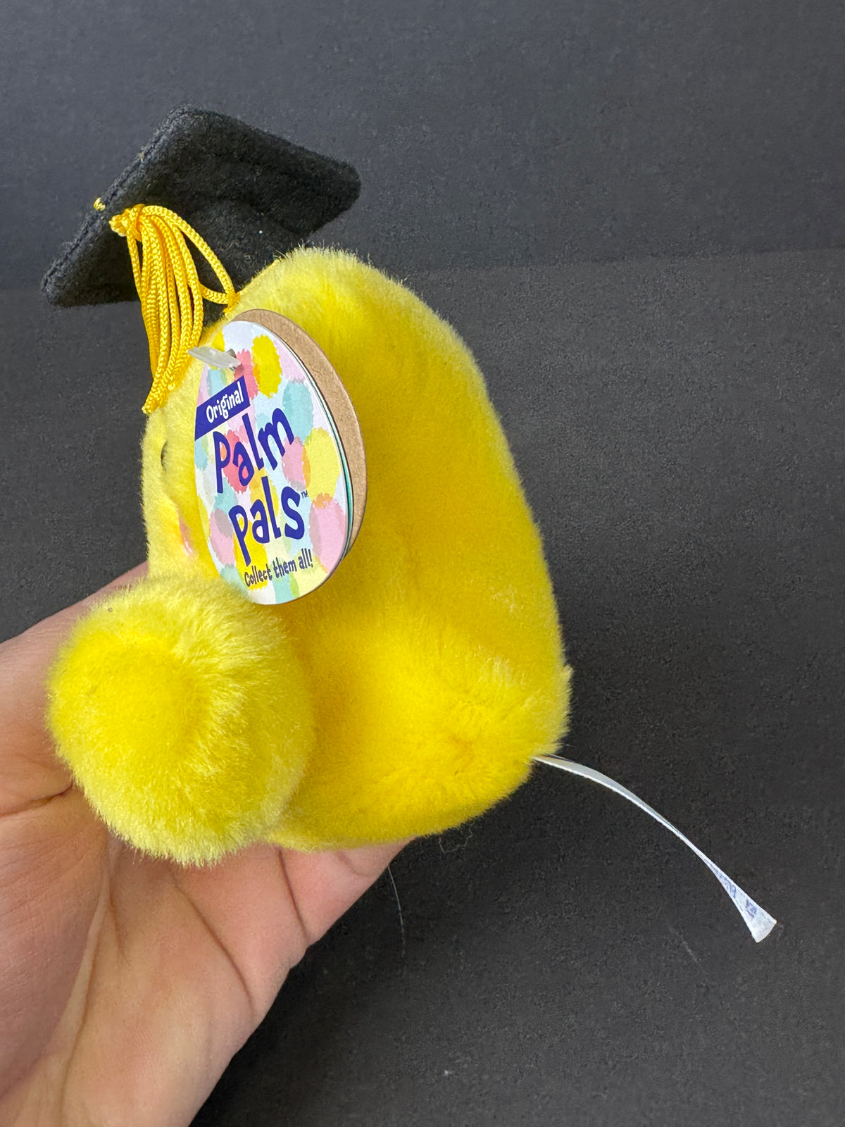 576 - Aurora Palm Pals Magna Grad Star Yellow Plush Graduation Stuffed Animal