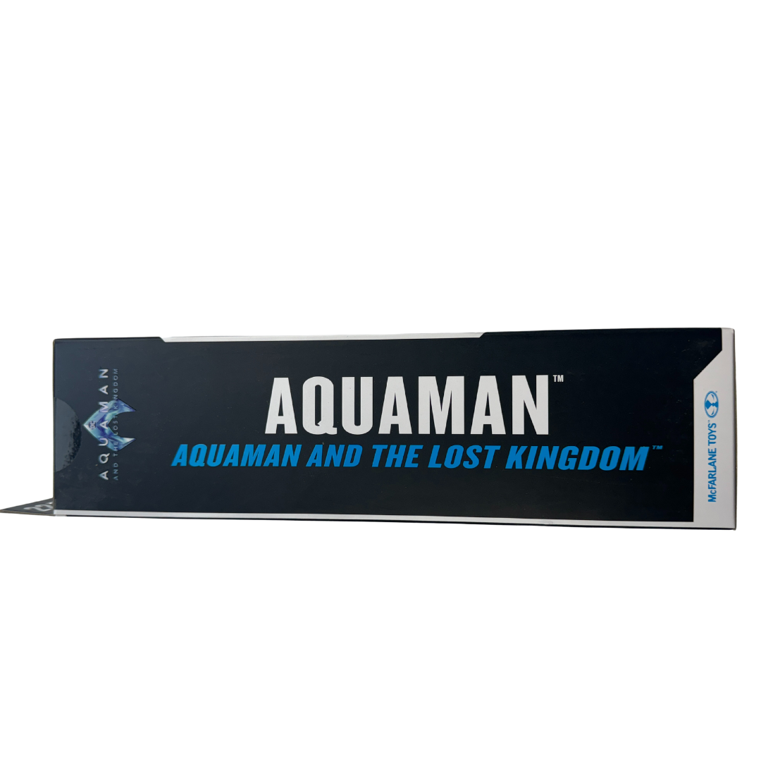 DC Aquaman Action Figure