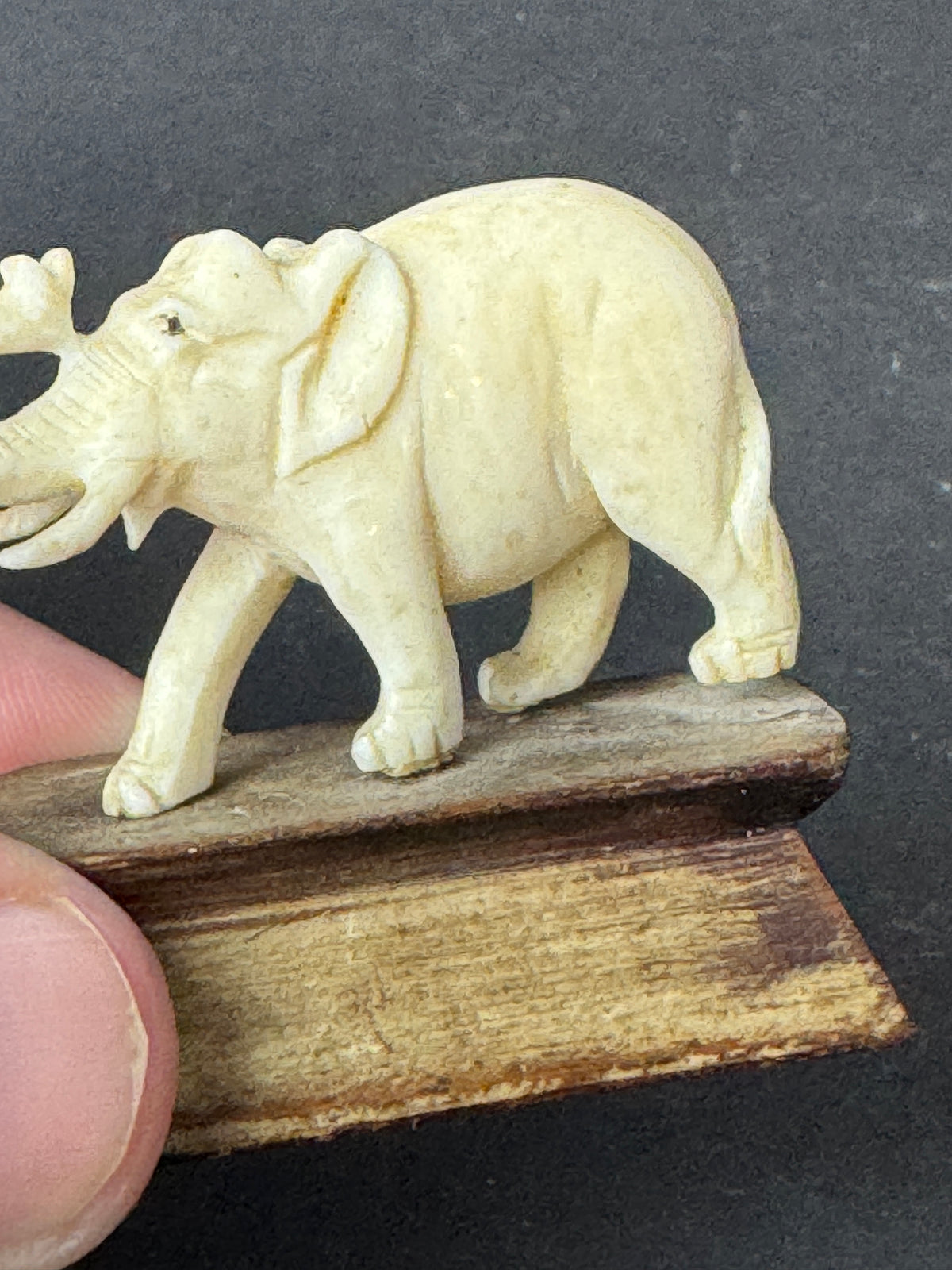486 - Vintage Hand Carved Bone Elephant Miniature Figurine on Wood Display Base – As Is