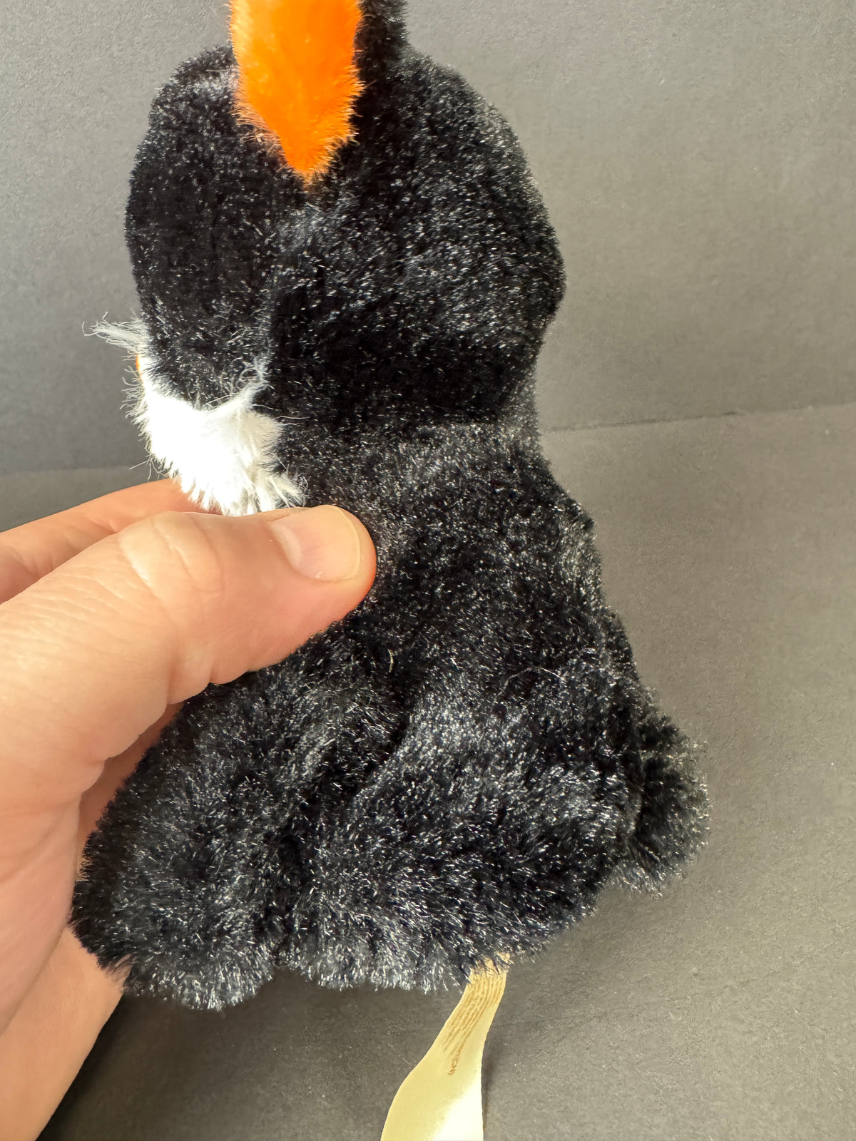 569 - Halloween 6" Glitter Eyes Black Orange Skeleton KITTY Cat Plush