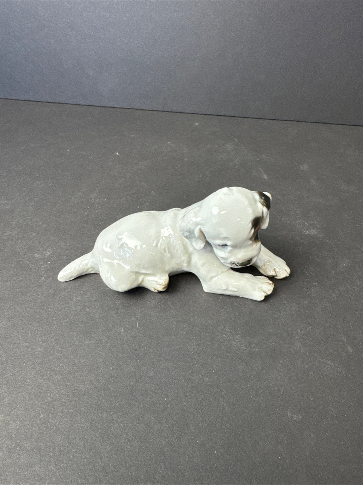241 - ROSENTHAL Germany Th. Karner; TERRIER PUPPY Porcelain Figurine; #H.1123 RARE