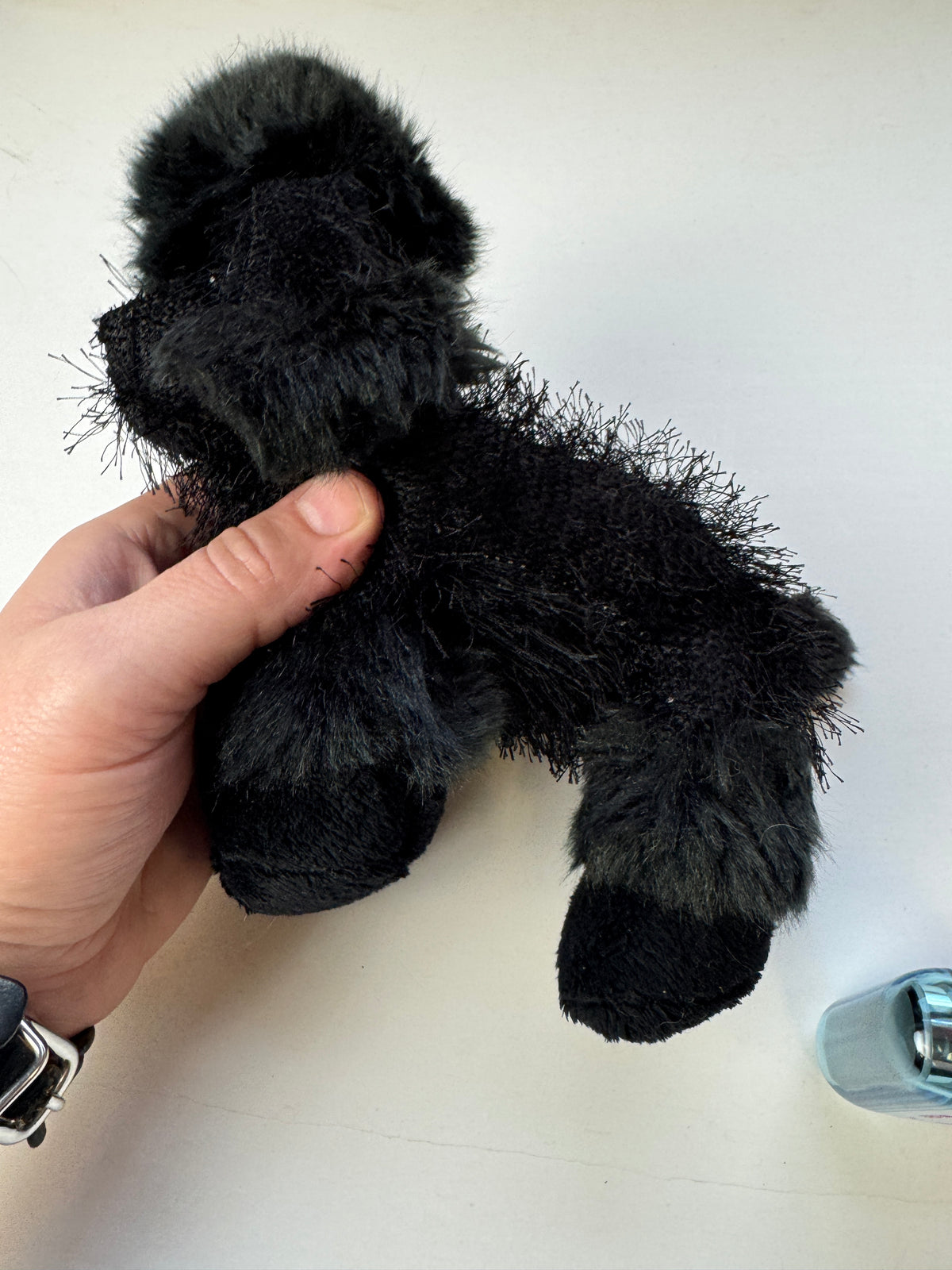 275 - Ganz Webkinz Black Poodle Plush HM191 No Code