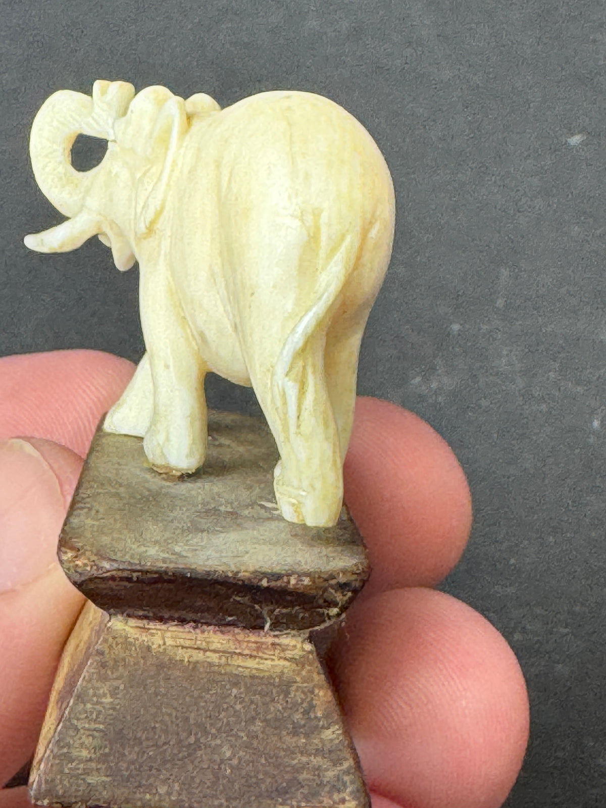 486 - Vintage Hand Carved Bone Elephant Miniature Figurine on Wood Display Base – As Is