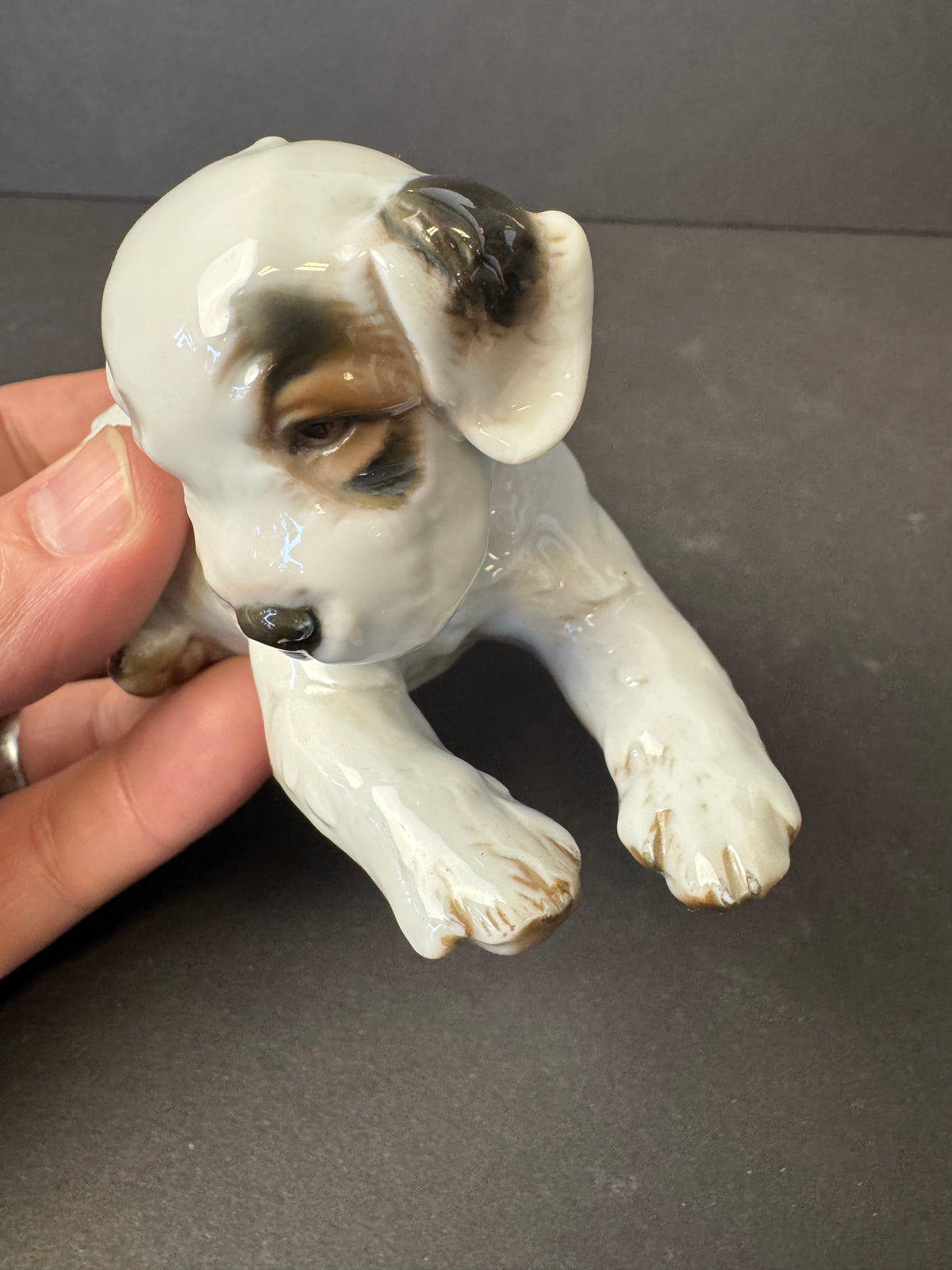 241 - ROSENTHAL Germany Th. Karner; TERRIER PUPPY Porcelain Figurine; #H.1123 RARE