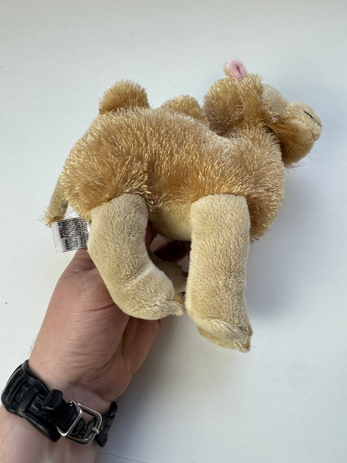329 - Ganz Webkinz Plush Camel 8" Tan Stuffed Animal HM341 No Code