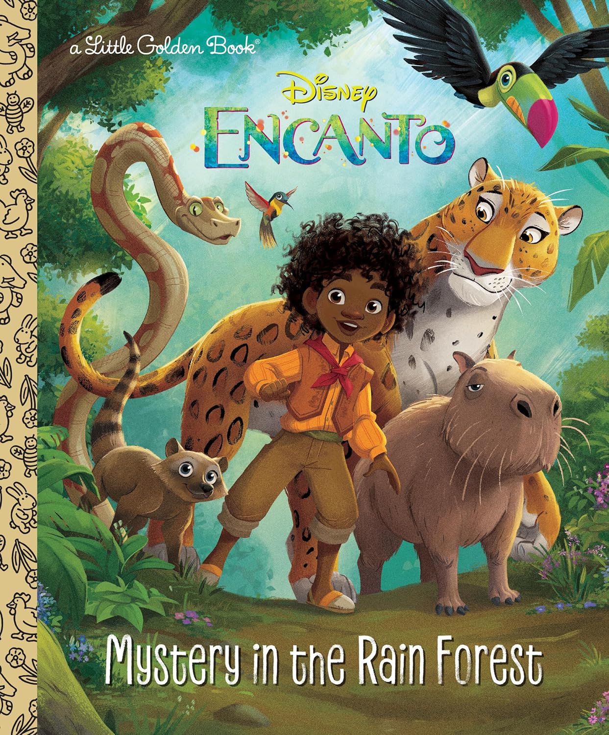 Mystery in the Rain Forest