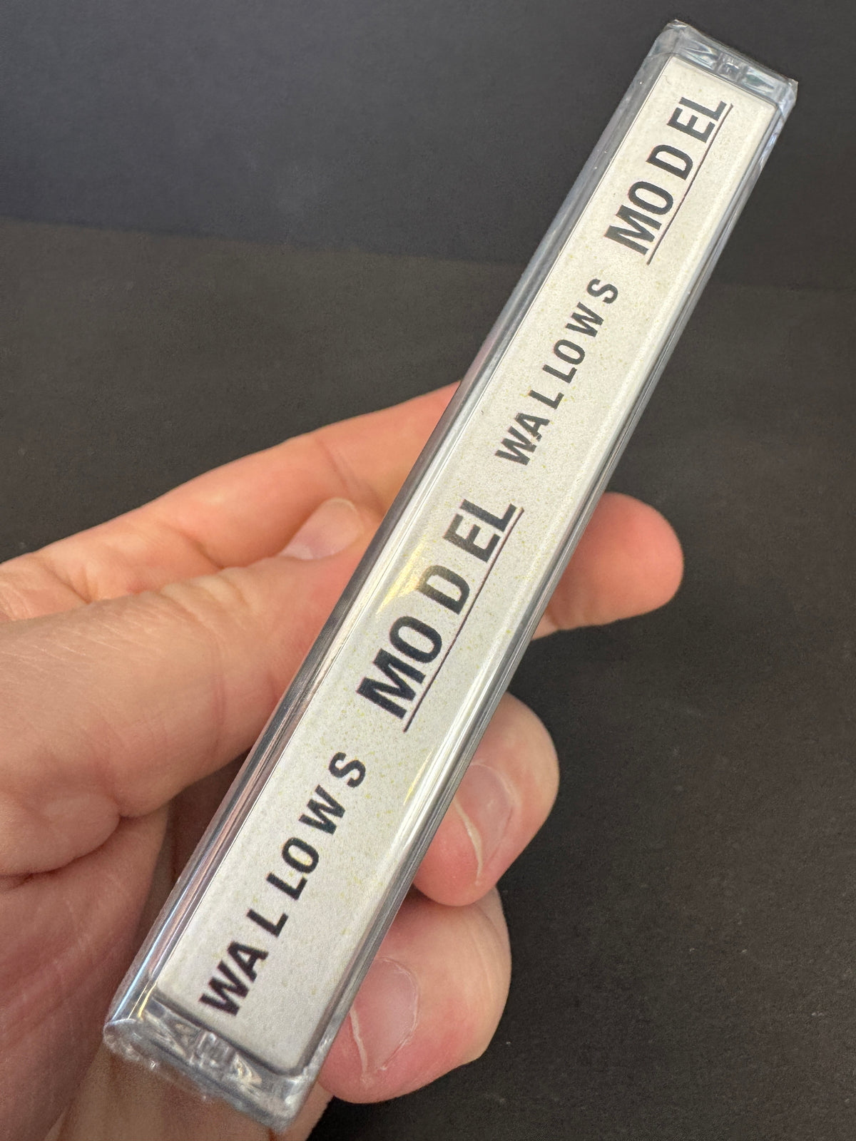 WALLOWS Model Green Cassette Signed Variant