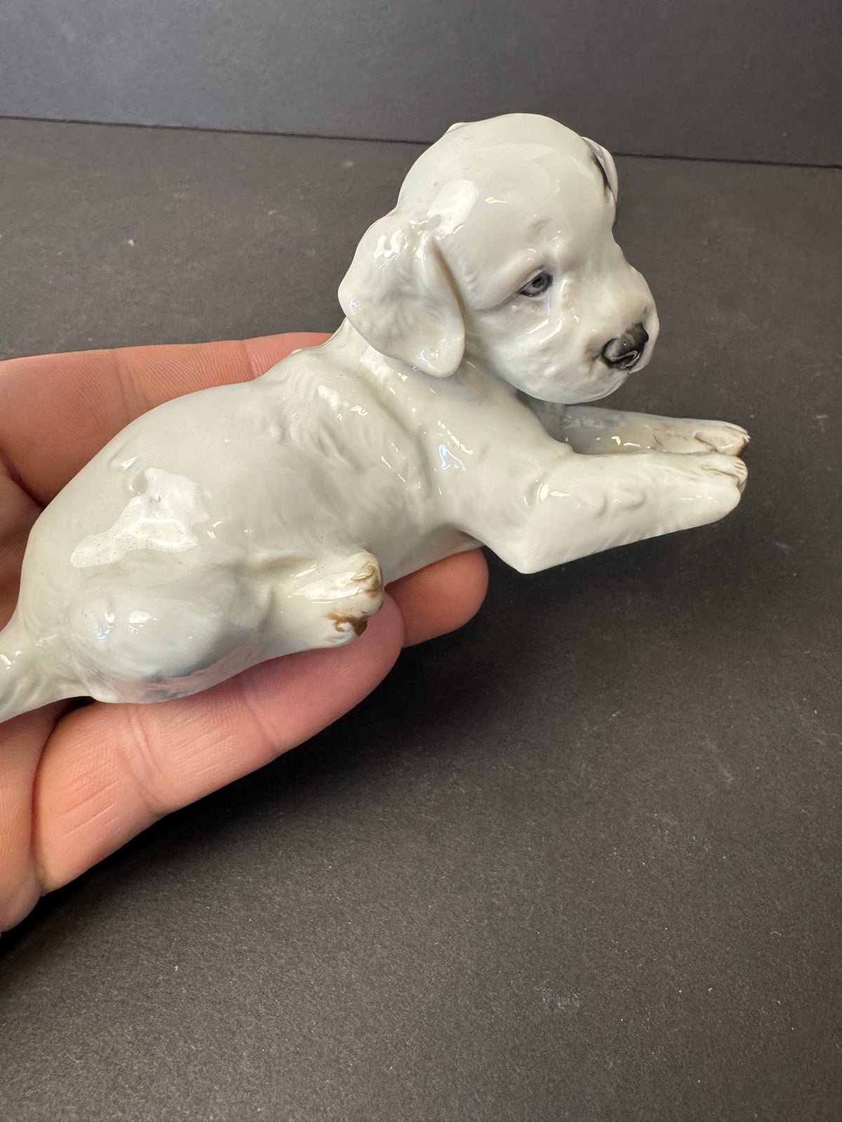 241 - ROSENTHAL Germany Th. Karner; TERRIER PUPPY Porcelain Figurine; #H.1123 RARE