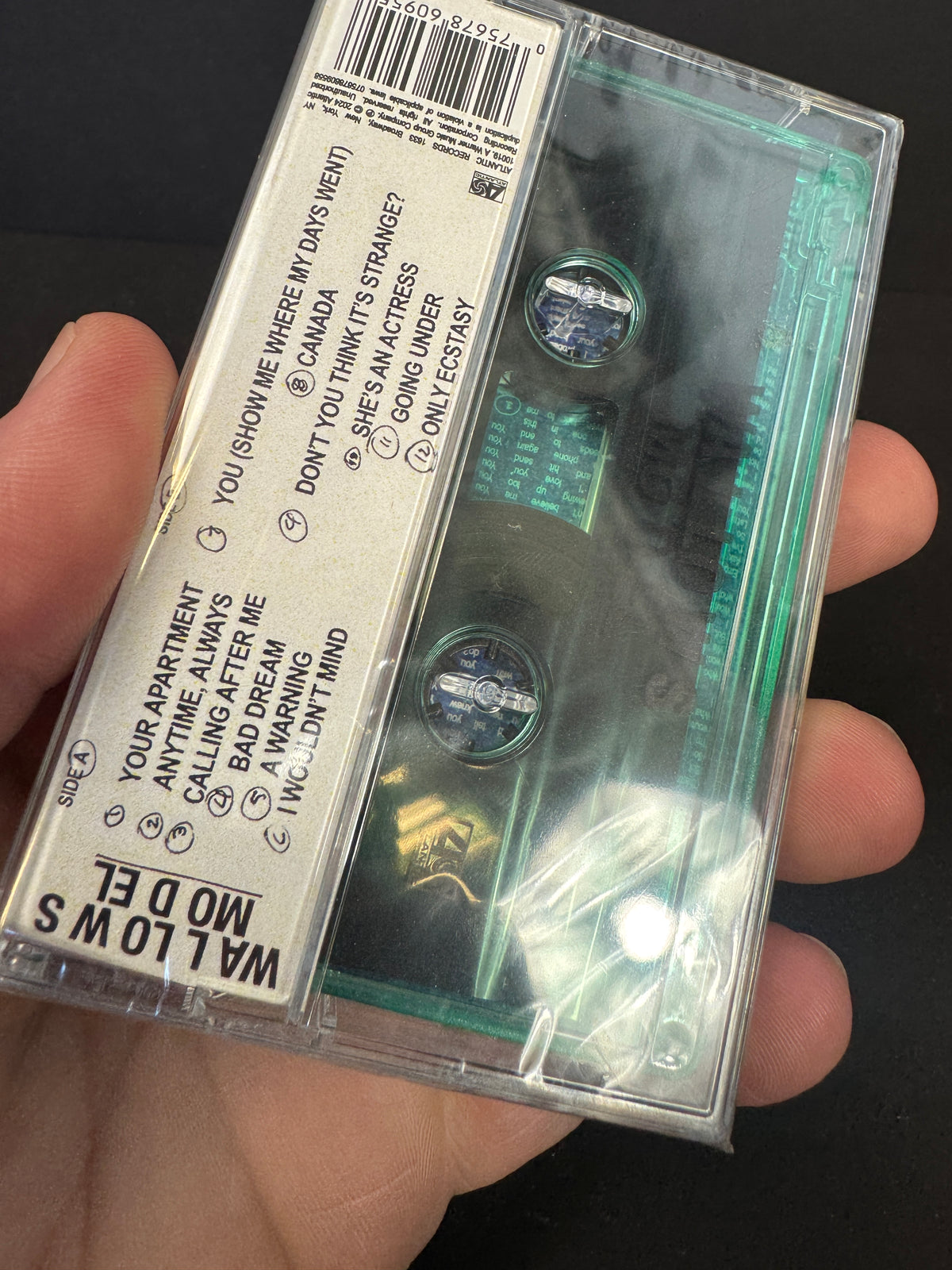 WALLOWS Model Green Cassette Signed Variant