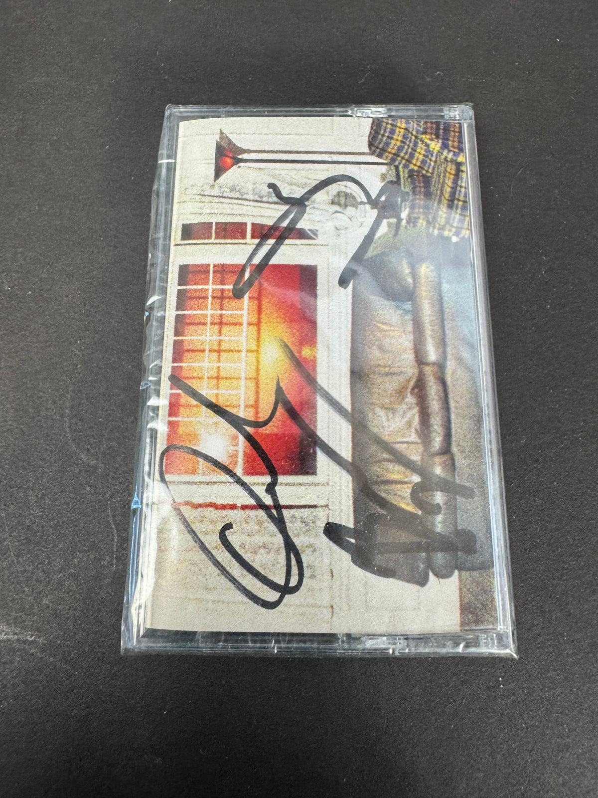 WALLOWS Model Green Cassette Signed Variant