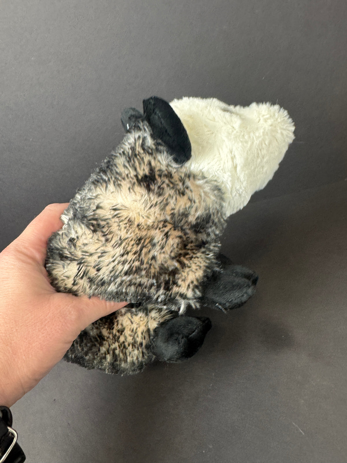 526 - opossum plush 2018 fluffy nice shape beanie belly