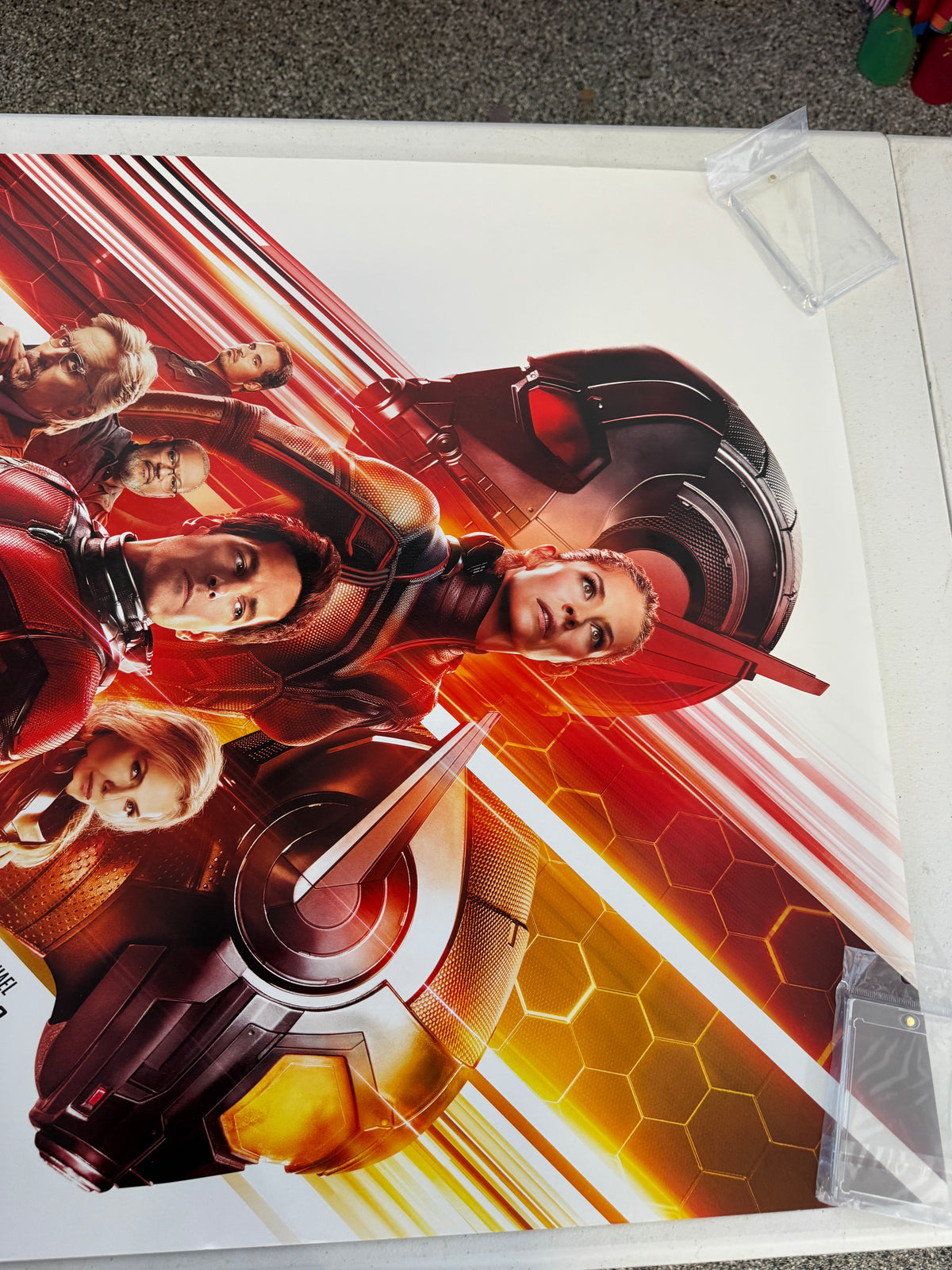 Ant-Man and the Wasp (2018) Original 27x40 Movie Poster D/S Rolled, Paul Rudd