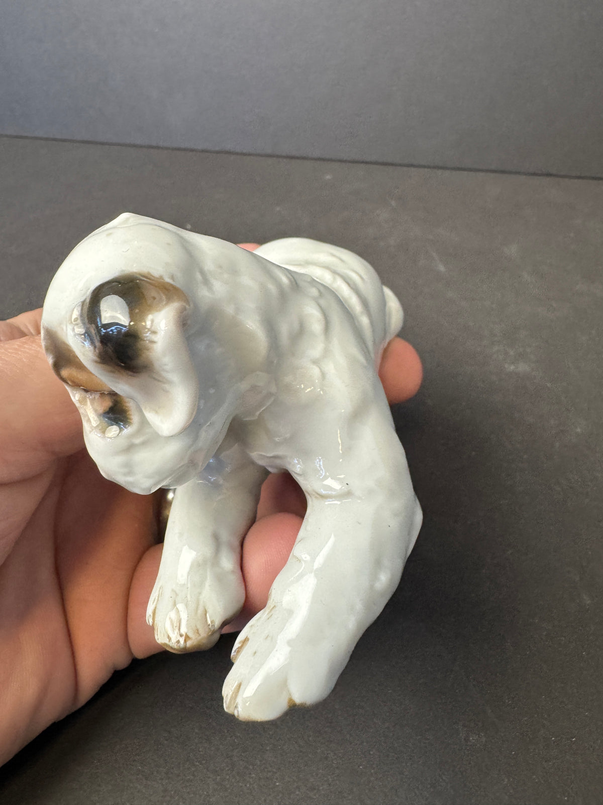 241 - ROSENTHAL Germany Th. Karner; TERRIER PUPPY Porcelain Figurine; #H.1123 RARE