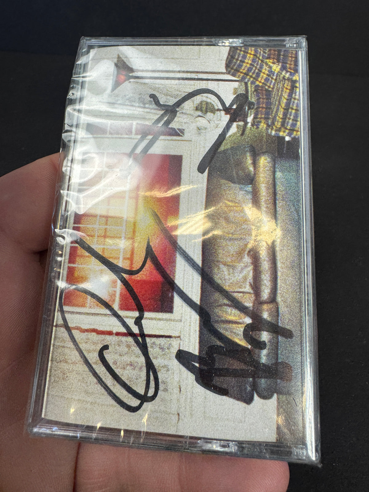 WALLOWS Model Green Cassette Signed Variant