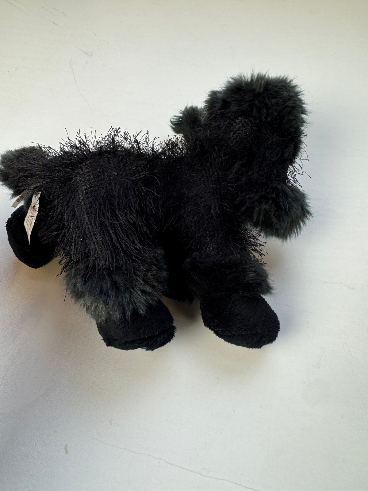 275 - Ganz Webkinz Black Poodle Plush HM191 No Code
