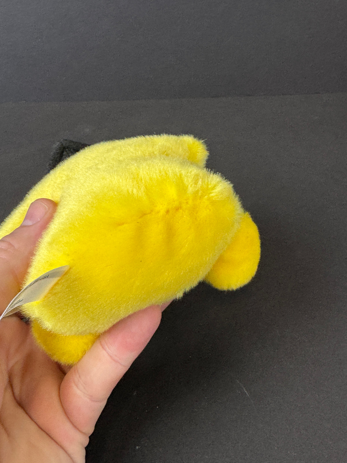 576 - Aurora Palm Pals Magna Grad Star Yellow Plush Graduation Stuffed Animal