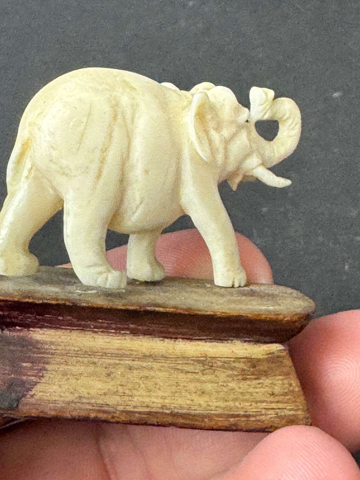 486 - Vintage Hand Carved Bone Elephant Miniature Figurine on Wood Display Base – As Is