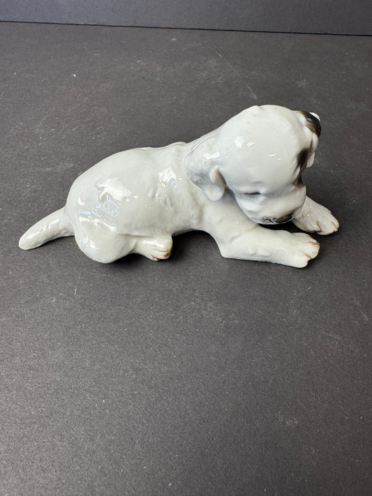 241 - ROSENTHAL Germany Th. Karner; TERRIER PUPPY Porcelain Figurine; #H.1123 RARE