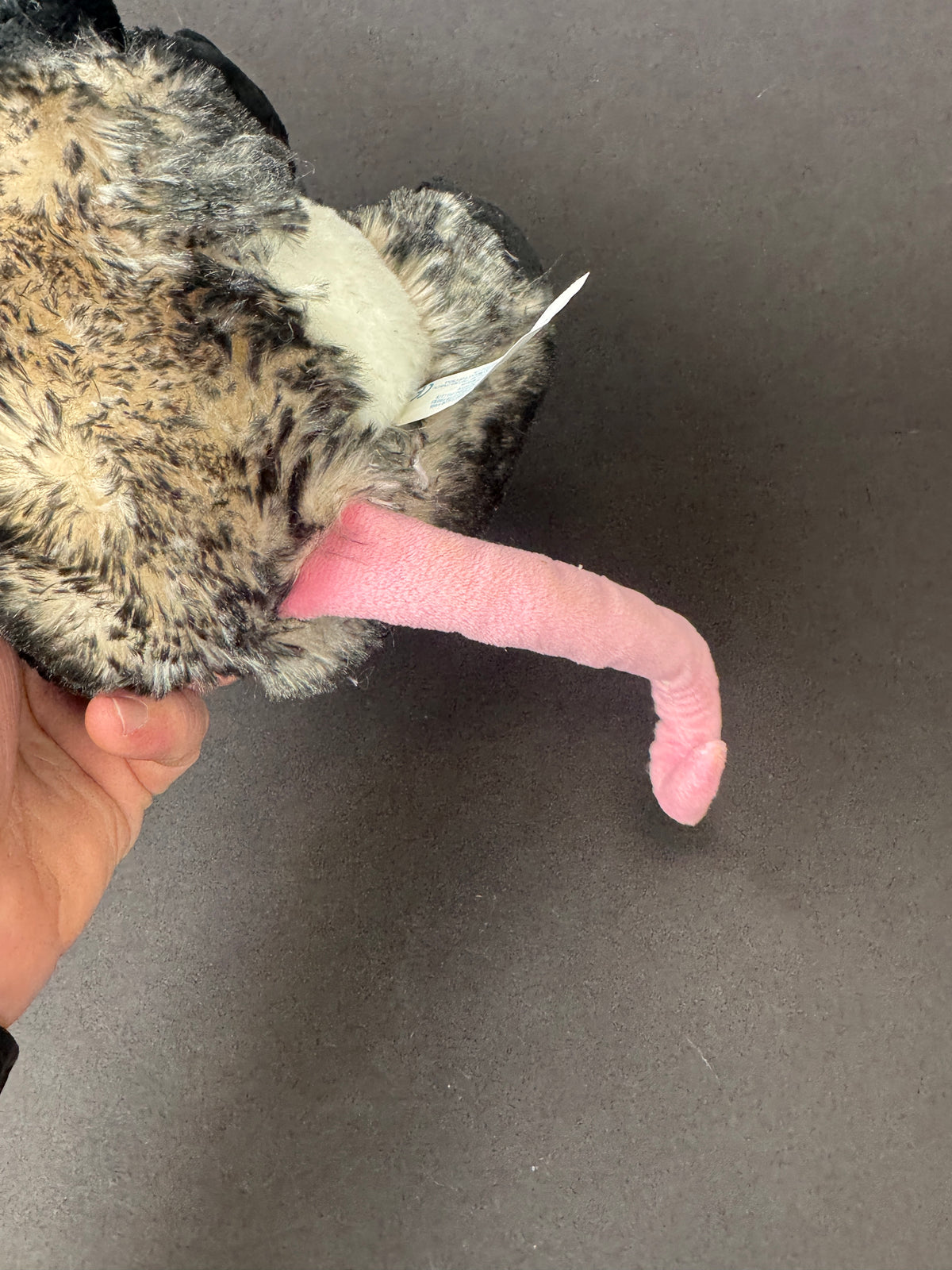 526 - opossum plush 2018 fluffy nice shape beanie belly