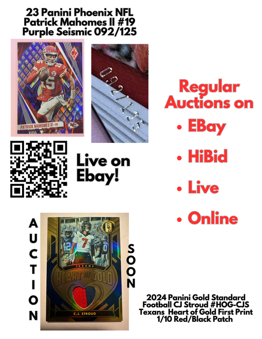 Live Online Auctions | EBay  | HiBid | & More