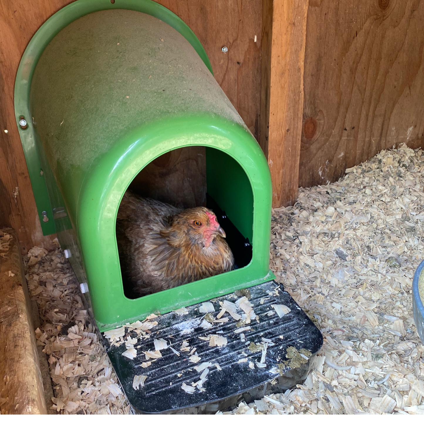 5 Pack | Nesting Box | Nest Box for your Chicken | Roll-A-Way
