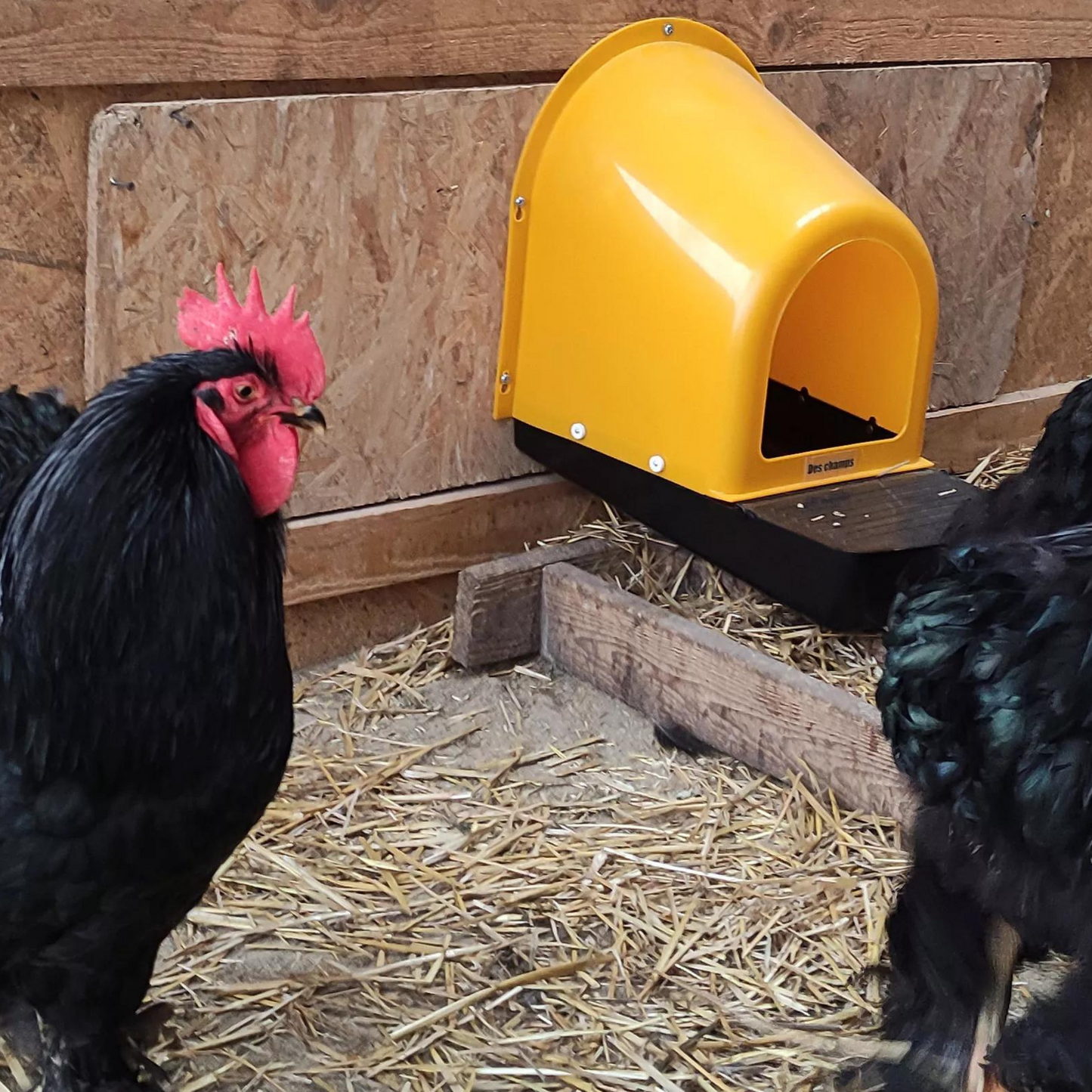 5 Pack | Nesting Box | Nest Box for your Chicken | Roll-A-Way